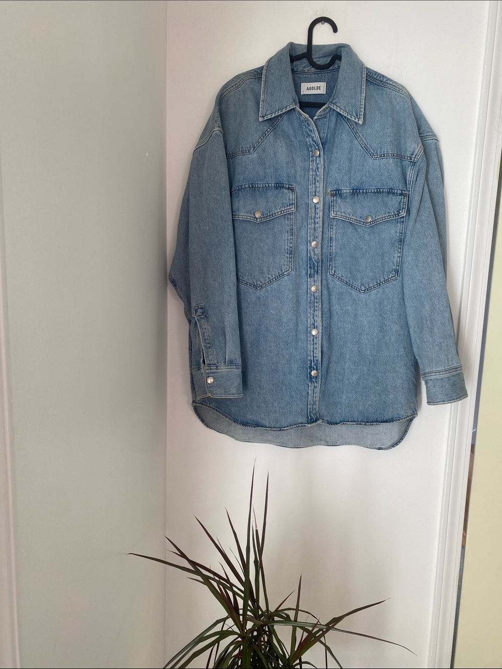 AGOLDE |  Lotta Shirt Size M